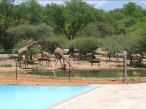 Thandolwami Bushlodge & Spa